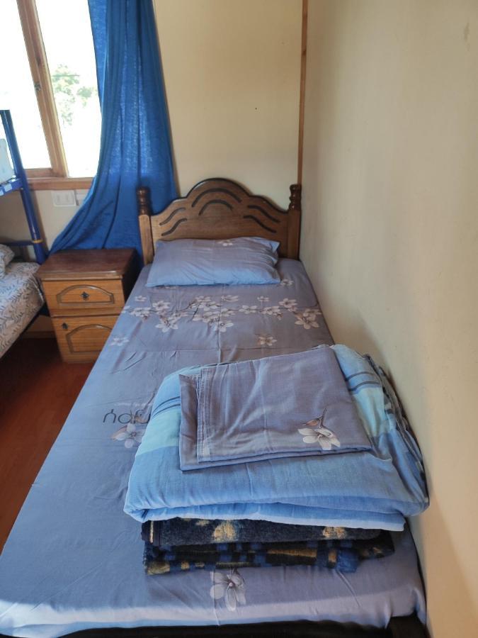 Alma Patagona Hostel Puerto Tranquilo Kültér fotó